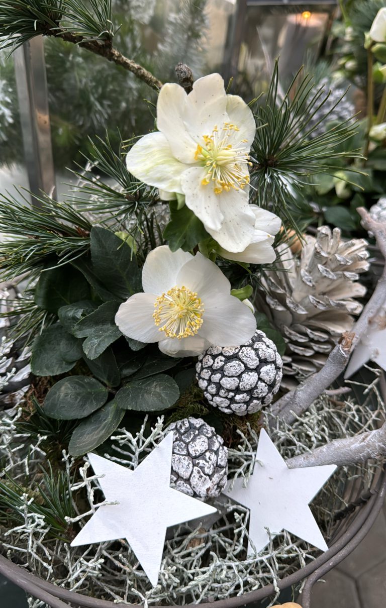 3FA3DD24-9D84-4742-BB28-651D29D938EE 3FA3DD24-9D84-4742-BB28-651D29D938EE