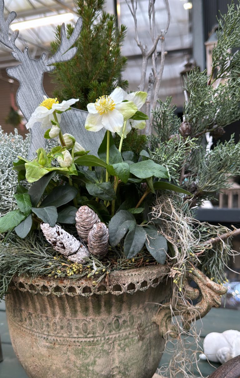 AB7134F8-FBB8-4338-B74D-DAB9E00CFE40 AB7134F8-FBB8-4338-B74D-DAB9E00CFE40